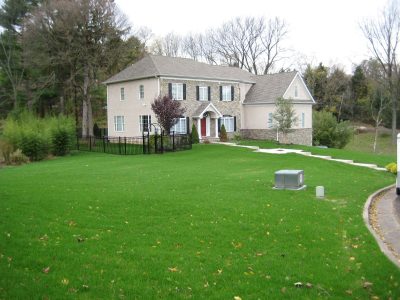 Pennsylvania_Turf_Angelo_Stan_After