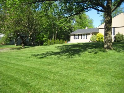 Pennsylvania_Turf_Kuzmick_After