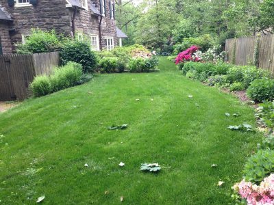 Pennsylvania_Turf_Miller_Ludlow_After