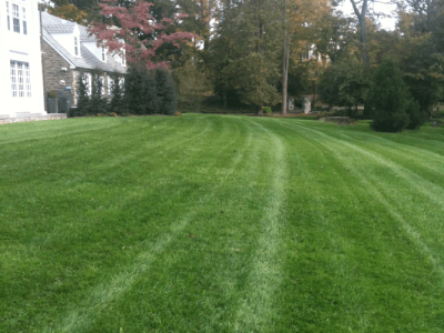 Pennsylvania_Turf_Rielly_After